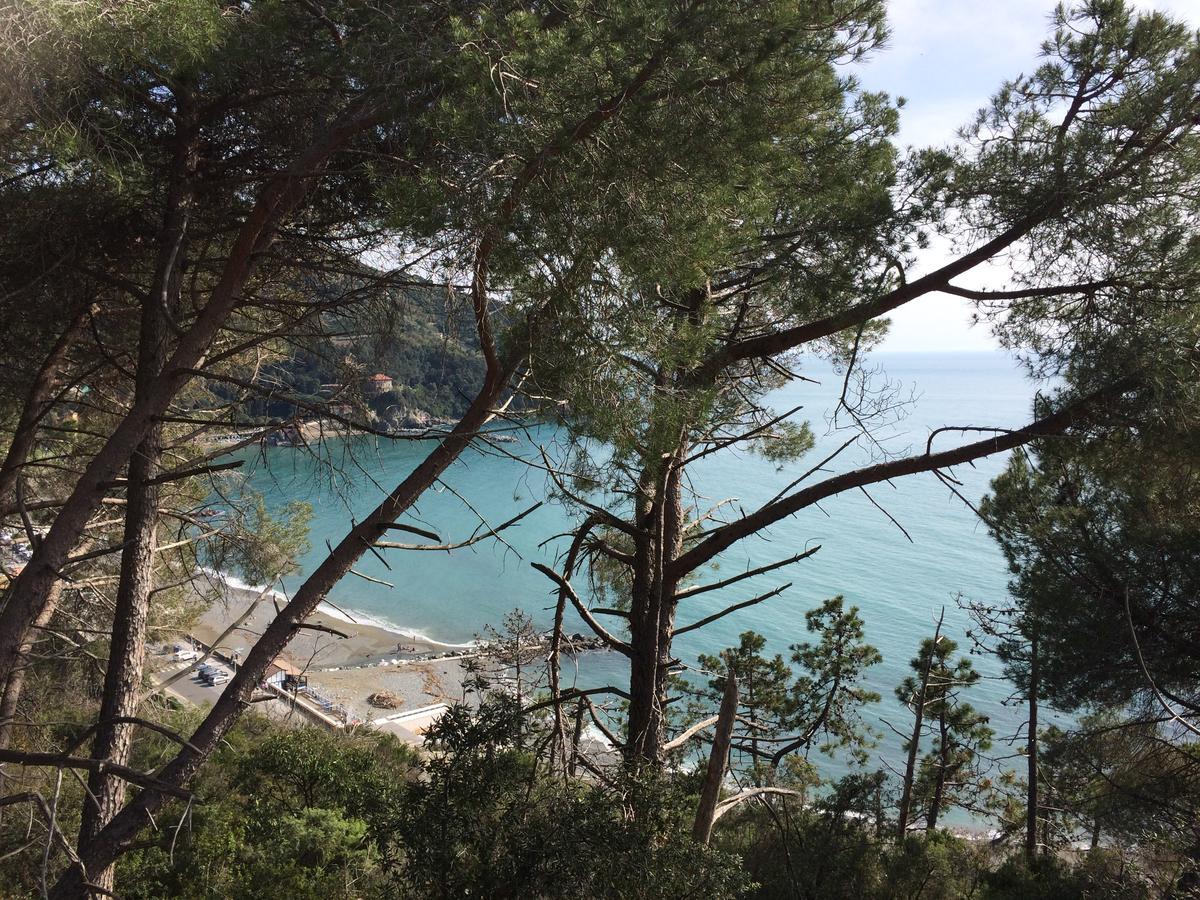 Villa La Casa di Letizia Levanto Esterno foto